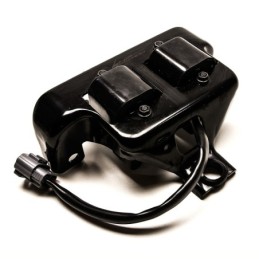 Bobine potenziate per accensione per Mazda MX-5 NA 1.6L (89-98)
