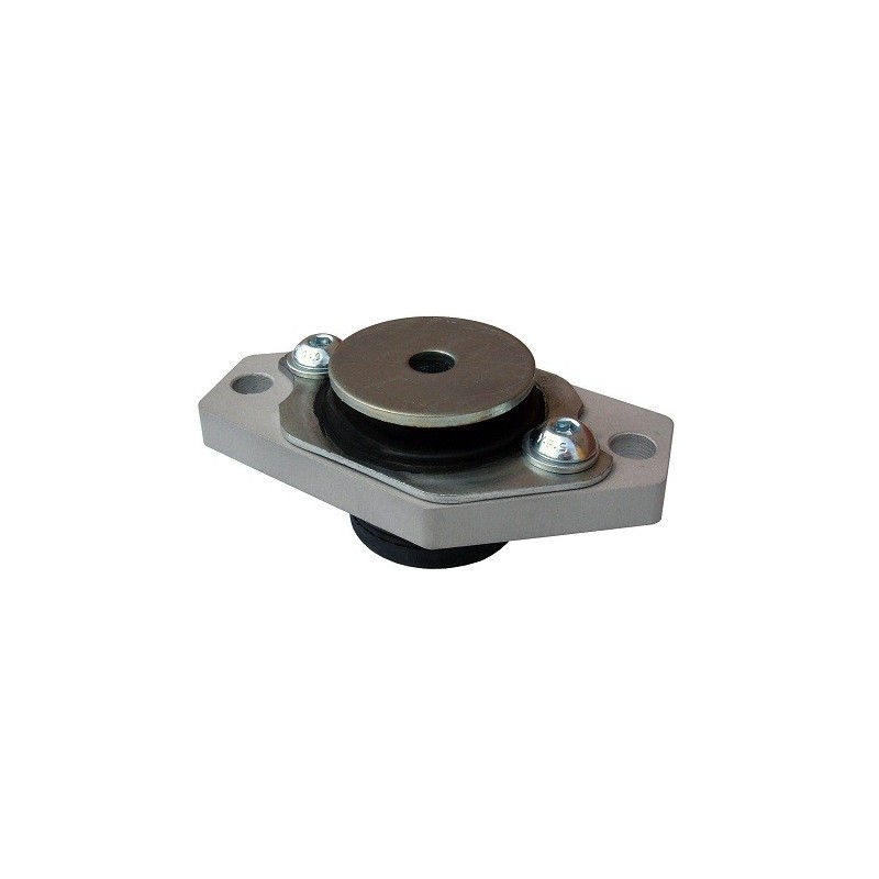 Supporto trasmissione Race per Peugeot 206