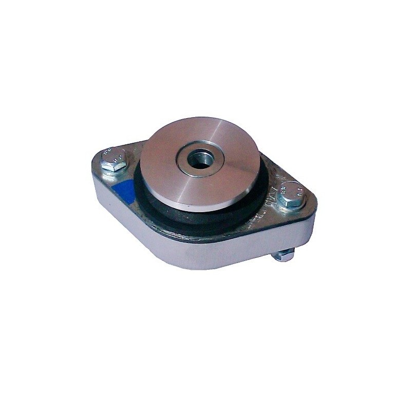 Supporto trasmissione stradale per Renault Clio RS 1 e 2 (172, 182 CV)
