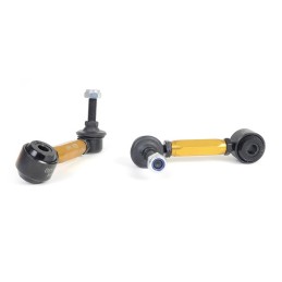 Barre antirollio posteriore per Seat Leon 1M, Exc. Cupra (98-06) 24mm