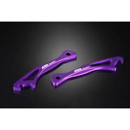 Kit Camber per Honda Integra Type R DC5 (01-06)