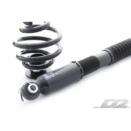Assetto a ghiera D2 Street per Audi TT 8N (98-06) 2WD