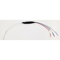 Cavo Interfaccia ECU Mercury 849849