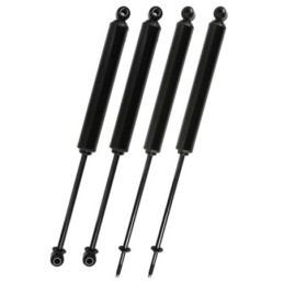 Kit sospensione Twin-Tube Lift 2.5"