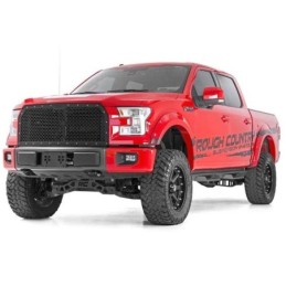 Gradini laterali ribassati DS2 SuperCrew Cab