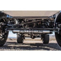 Doppio stabilizzatore di sterzo Performance 2.0 IFP