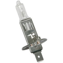 Lampadina alogena H1 Bianco 5000° K 40%