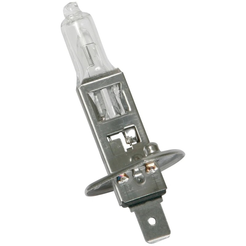Lampadina alogena H1 Megaplus +50% Lampadina alogena H1 Megaplus +50%