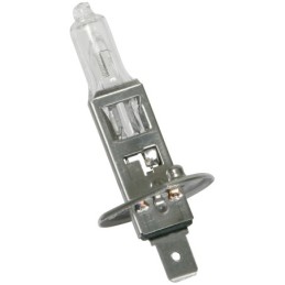 Lampadina alogena H1 Standard