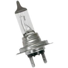 Lampadina alogena H7 100W