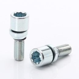 Bullone oscillante - M12x1,5 (confezione da 20)
