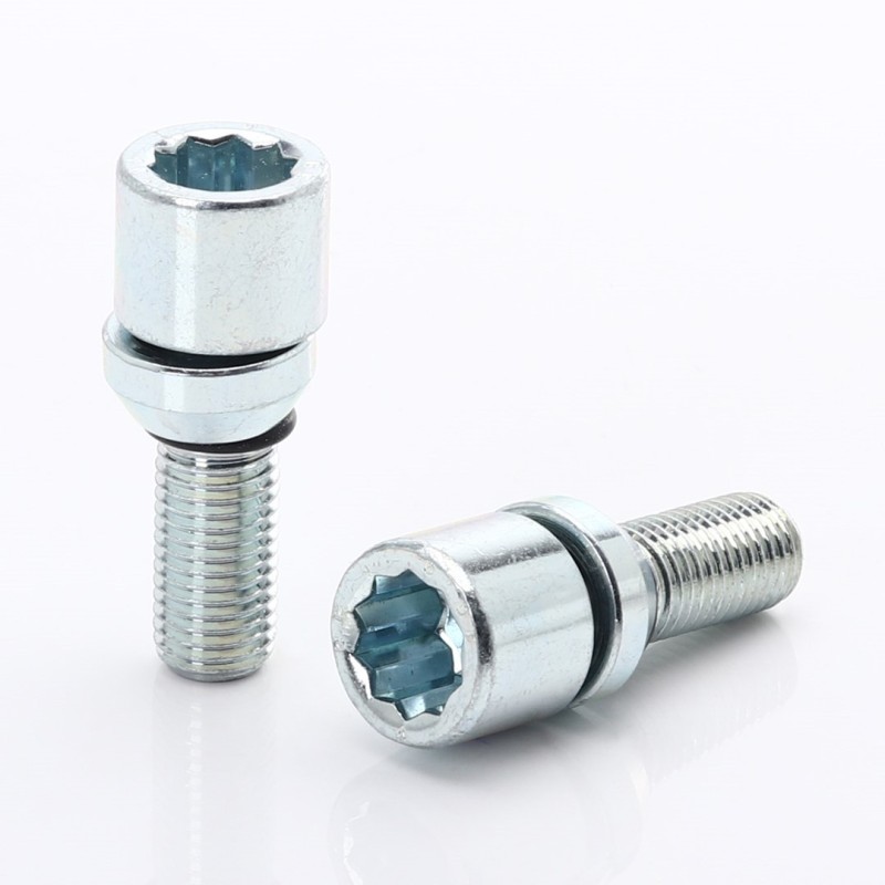 Bullone oscillante - M12x1,5 (confezione da 20) Bullone oscillante - M12x1,5 (confezione da 20)