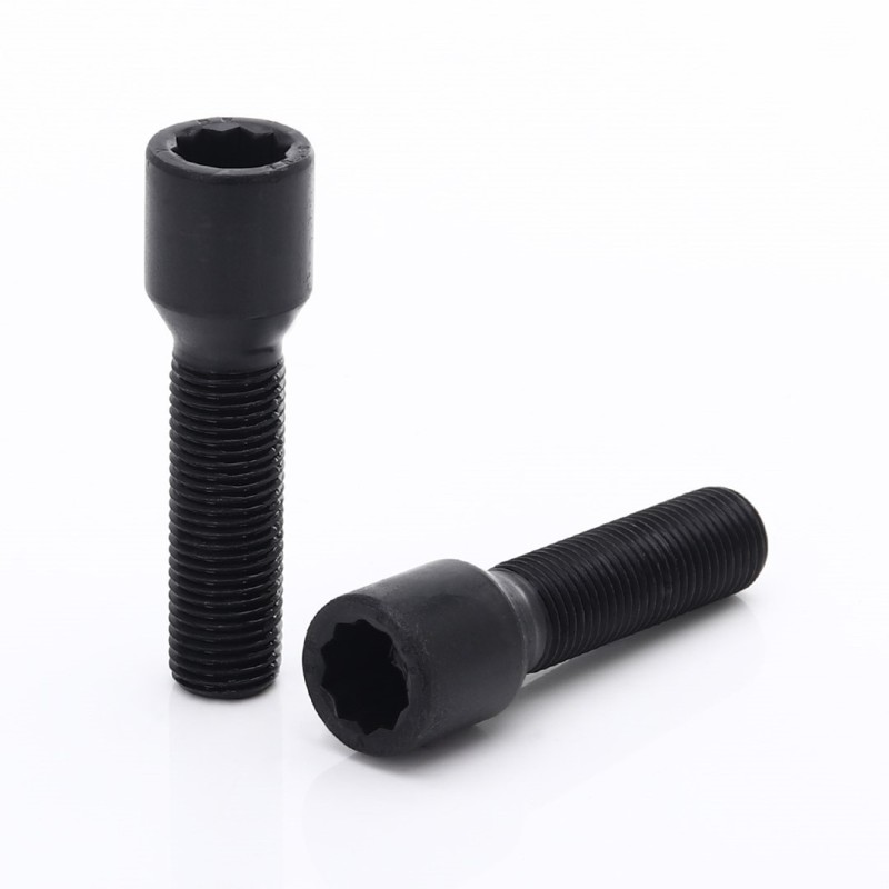 Bulloni per ruote motrici interne estese nere M14x1,5 (confezione da 10)