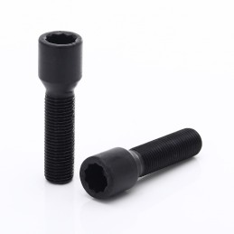 Bulloni per ruote motrici interne estese nere M12x1,5 (confezione da 10)