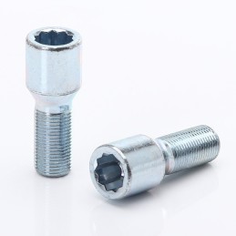 Bulloni per ruota motrice interna argento M12x1,5 (confezione da 20)