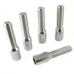 Bulloni per ruota motrice interna estesi argento M12x1,25 (confezione da 10)