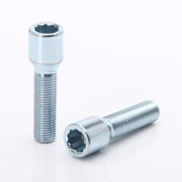 Bulloni per ruota motrice interna estesi color argento M14x1,25 (confezione da 10)