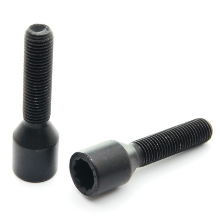 Bulloni per ruote motrici interne estese nere M12x1,25 (confezione da 10)