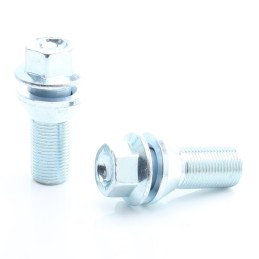 Bulloni ruota argento M15x1,25 (confezione da 20)