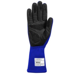 Guanti da corsa Land Blu