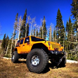 Kit semiasse anteriore Dana30/Tera30