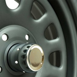 Cerchio in Lega Sputnik