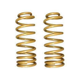 Molle anteriori progressive Light/Medium King Springs S Lift 2"