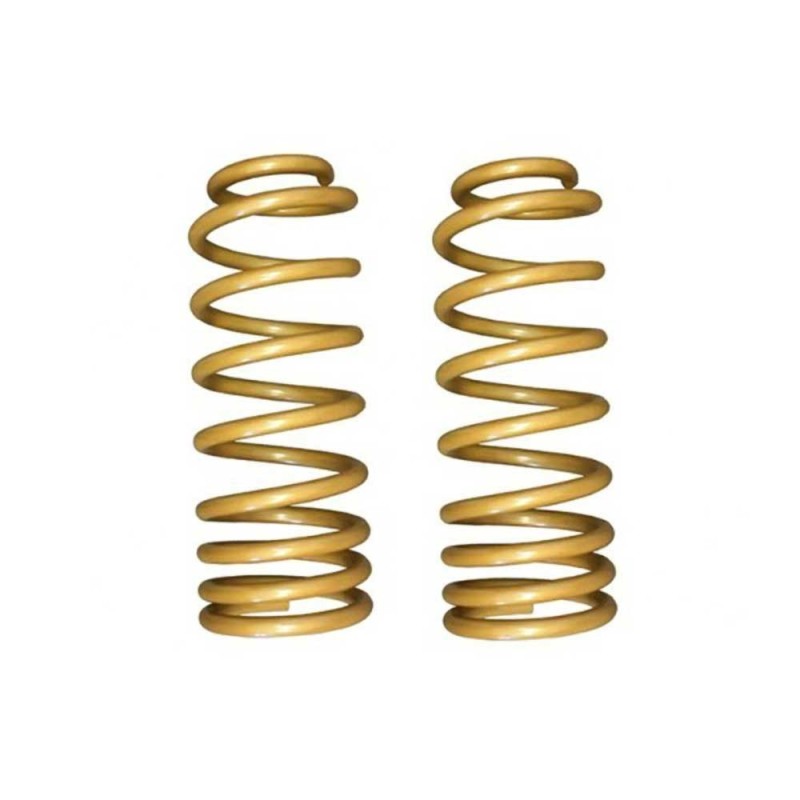 Molle anteriori progressive Medium King Springs Lift 2"