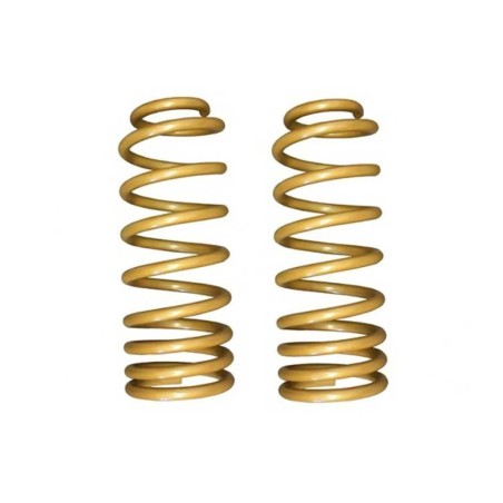 Molle anteriori progressive Medium King Springs Lift 2"