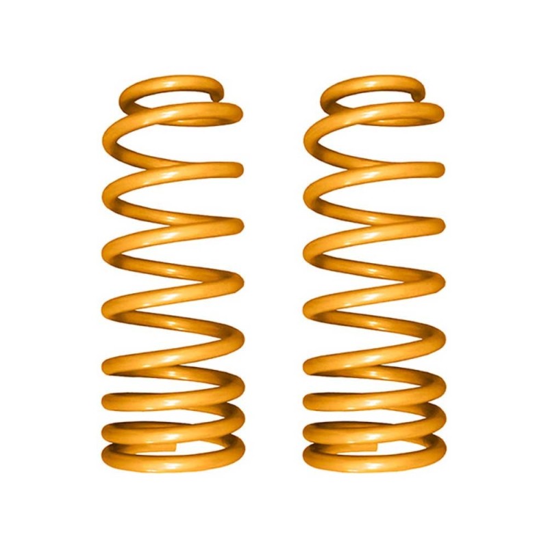 Molle progressive anteriori Lift 0-2" King Springs