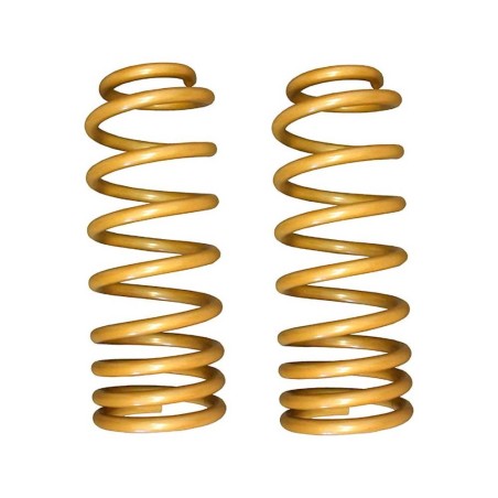 Molle anteriori King Springs Lift 2"