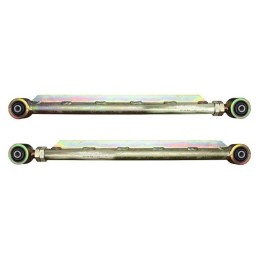 Bracci di controllo regolabili inferiori posteriori