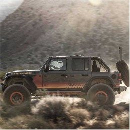 Rivestimenti interni del parafango posteriore