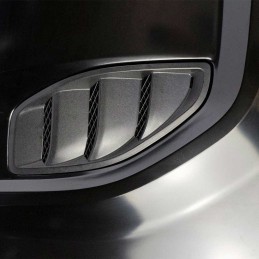 Cofano in acciaio 10° Anniversario