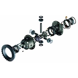 Differenziale posteriore