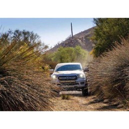 Ammortizzatore posteriore nitro Performance 2.0 IFP Lift 0-1.5"