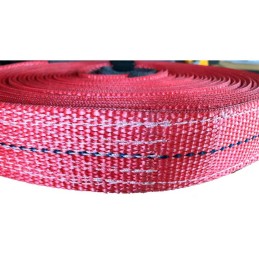 Cinghia di traino standard