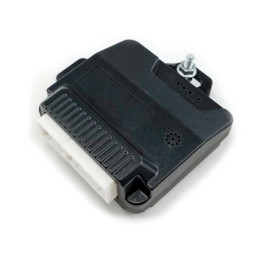 Pedane laterali elettriche