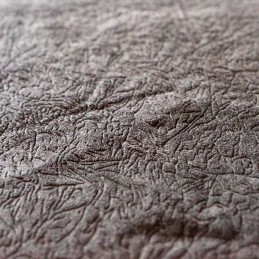 Tenda da tetto ABS Shell