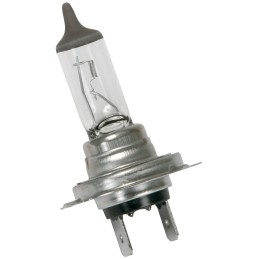 Lampadina alogena H7 80W