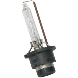Lampadina D2S Xenon 4200° K